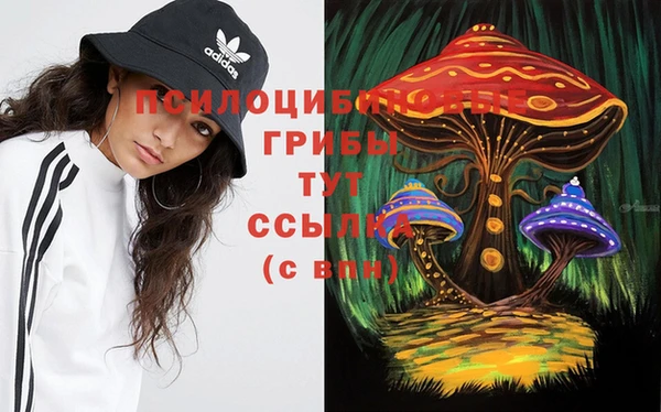 стафф Арсеньев