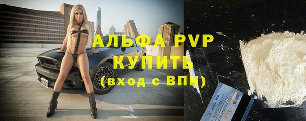 стафф Арсеньев