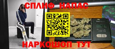 гидропоника Рязань