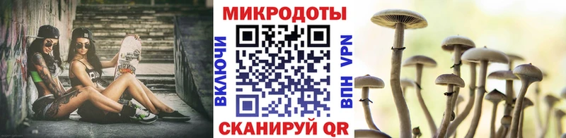 Галлюциногенные грибы Psilocybe Чусовой